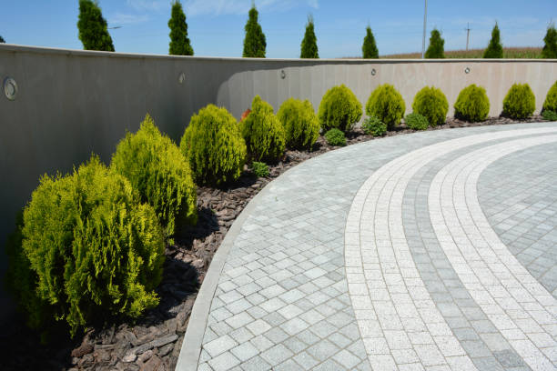 Best Professional Driveway Pavers  in Way, NE