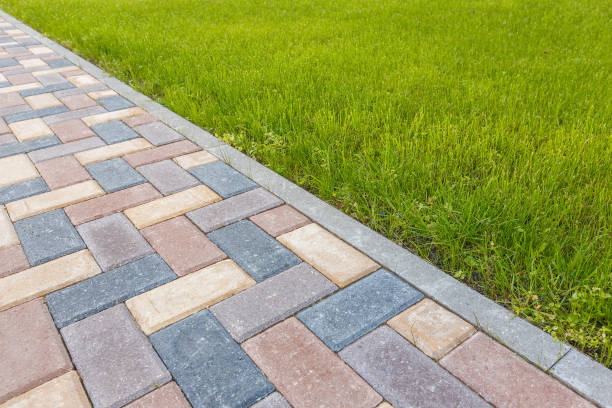 Best Driveway Repair Near Me  in Way, NE